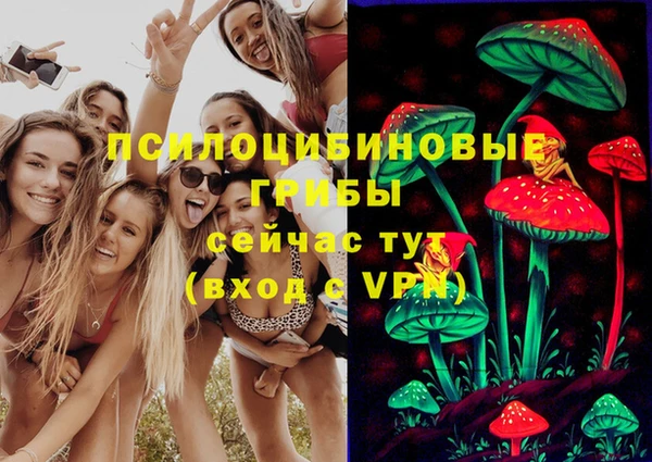 дурь Балахна