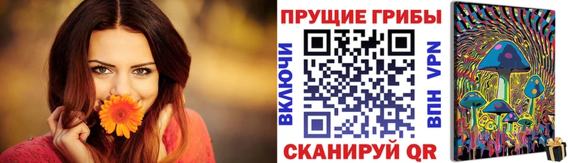 Галлюциногенные грибы Psilocybe  Ветлуга 